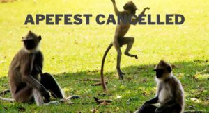 apefest cancelled