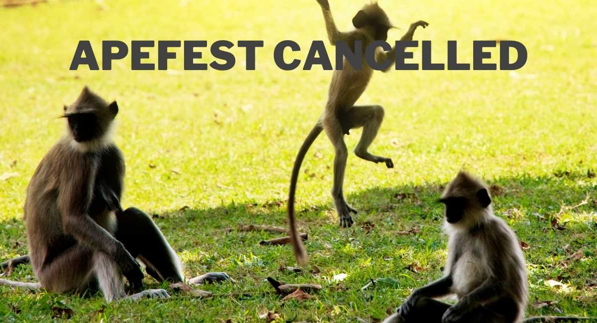 Apefest cancelled – at least until after the MOASS