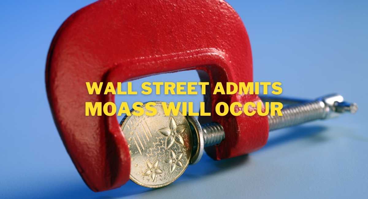 Wall Street has admitted MOASS will occur. Hedgies new goal, try to control narrative on squeeze value.