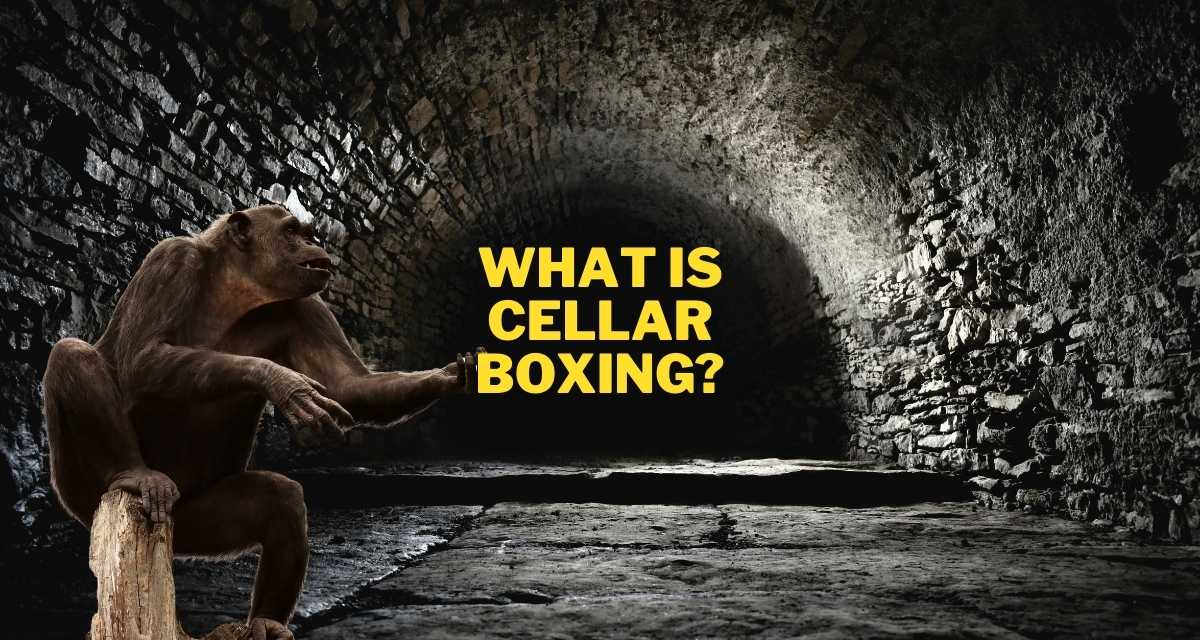 What is Cellar Boxing? The newest theory circulating