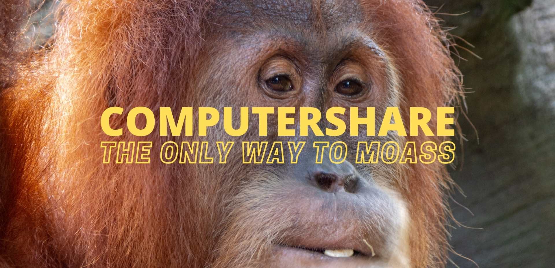 Computershare and DRS: The only way to MOASS