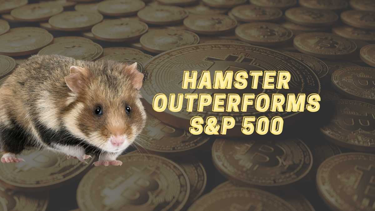Crypto Trading Hamster outperforms Warren Buffet and the S&P 500.