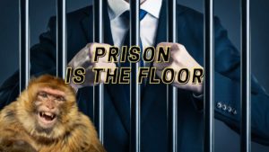 ken griffin lied - prison is the floor - GME GameStop